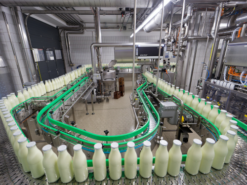 Пълните бутилки с мляко са в редица на конвейерна линия