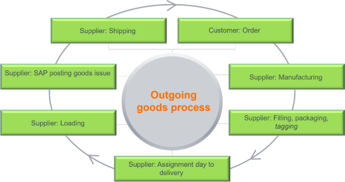 The graphic shows the goods issue process in bullet points.