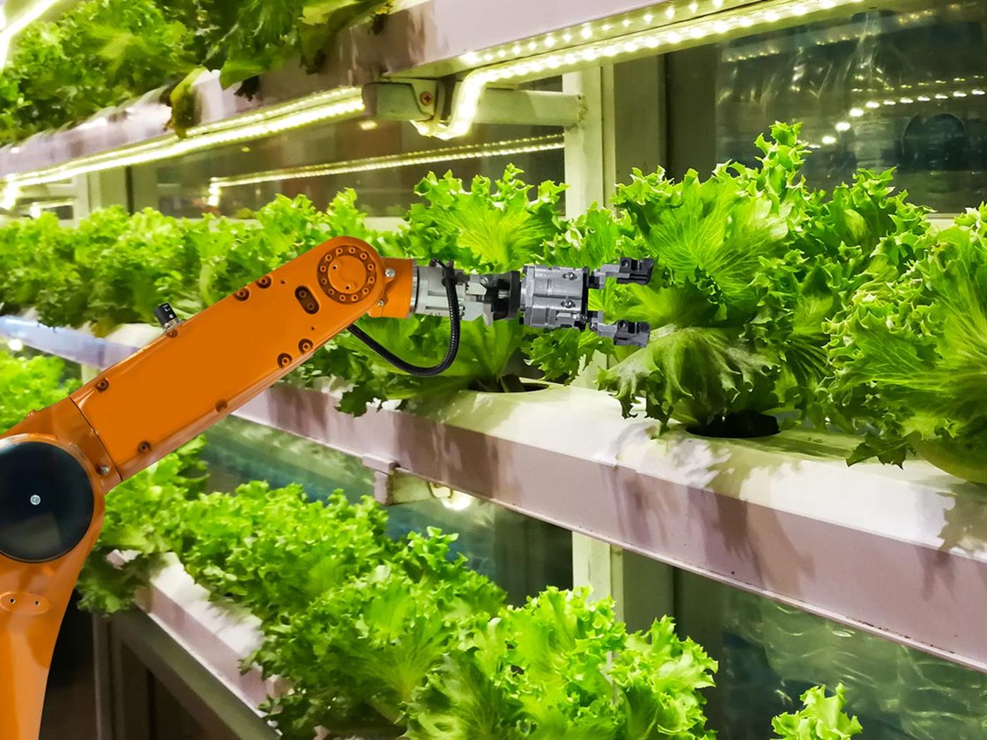 case study on vertical farming